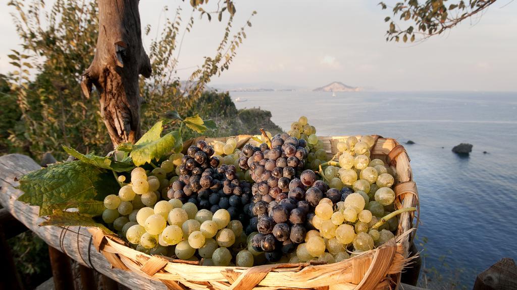 Albergo 'La Vigna' Procida Esterno foto