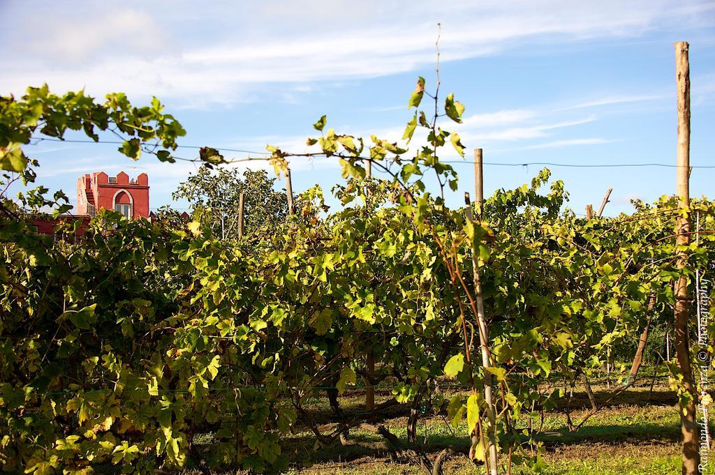 Albergo 'La Vigna' Procida Esterno foto